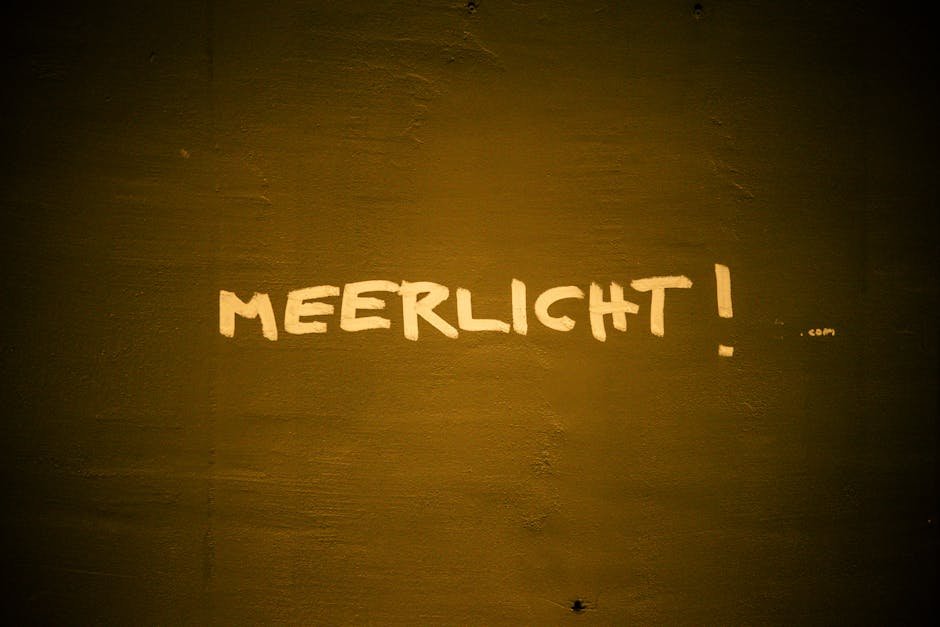 پرداخت امن و بی‌دردار معکوسازی بین مرزهای کشور چین با استفاده از حواله یوان برای انتقال پول آسان و ایمن.