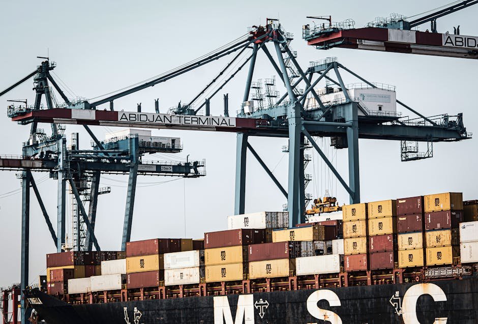 ترخیص کالا از گمرک شهریار تهران | تحلیل ریسکها، معافیتها و استراتژیها ترخیص کالا از گمرک شهریار تهران | تحلیل ریسکها، معافیتها و استراتژیها