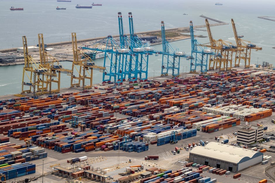 ترخیص کالا از گمرک شهریار تهران | تحلیل ریسکها، معافیتها و استراتژیها ترخیص کالا از گمرک شهریار تهران | تحلیل ریسکها، معافیتها و استراتژیها