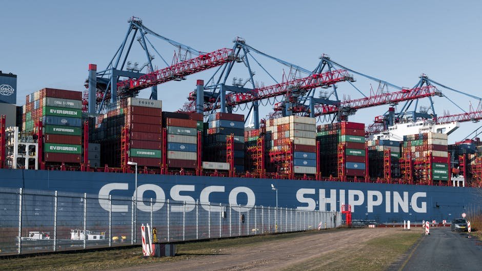 خرید سمپل (نمونه کالا) از چین با ارسال سریع | آموزش صفر تا صد اجرایی